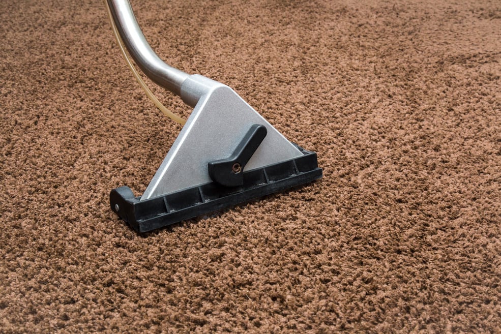 Carpet chemical cleaning with professionally extraction method. Early spring cleaning.